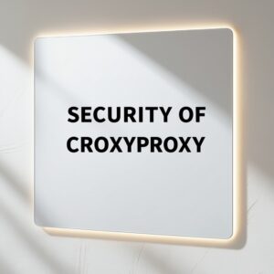 Security of CroxyProxy: Privacy and Risk Management