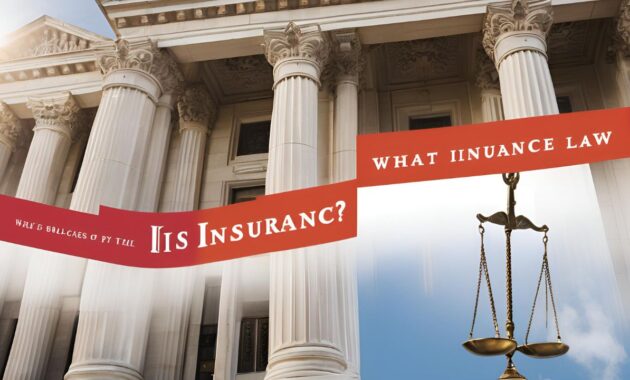 Insurnace Law